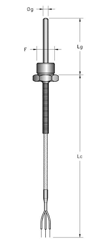 Các loại cảm biến đo nhiệt độ PT100 loại dây