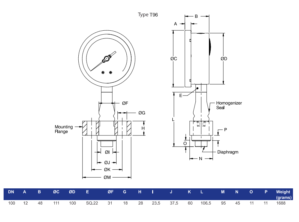 Đồng hồ áp suất màng homogenizer Flange