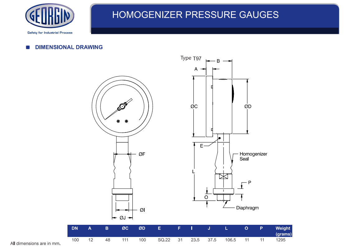 Đồng hồ áp suất màng homogenizer georgin